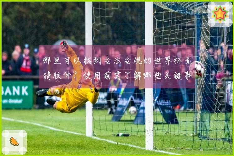 哪里可以找到合法合规的世界杯竞猜软件？使用前需了解哪些关键事项
