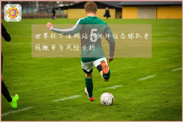 世界杯下注网站如何评估各球队夺冠概率与风险分析