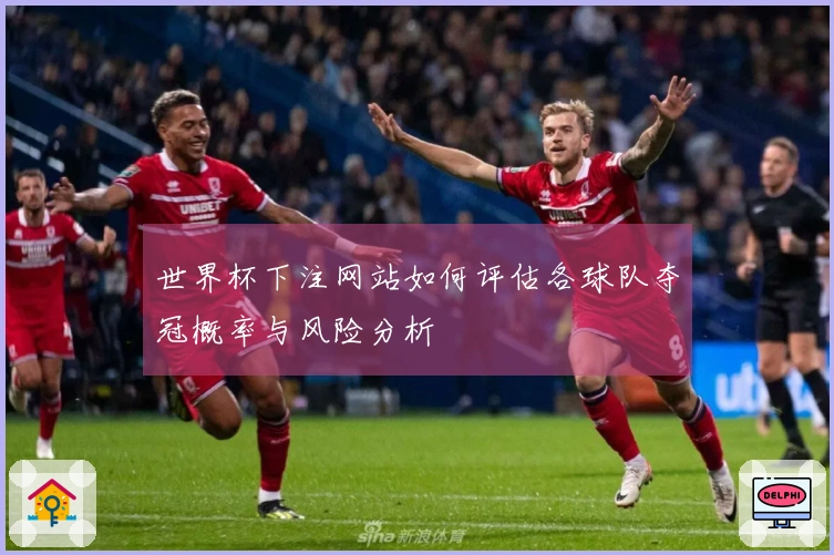 世界杯下注网站如何评估各球队夺冠概率与风险分析