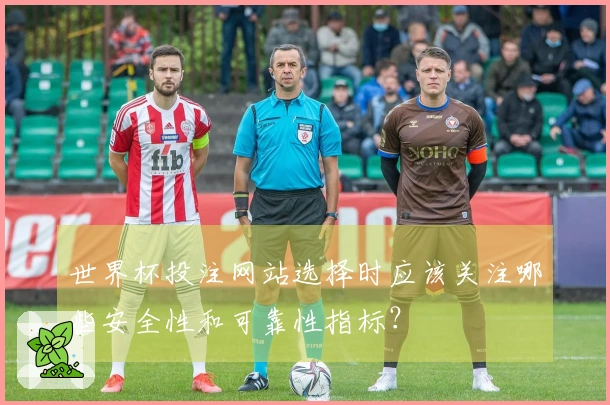 世界杯投注网站选择时应该关注哪些安全性和可靠性指标？
