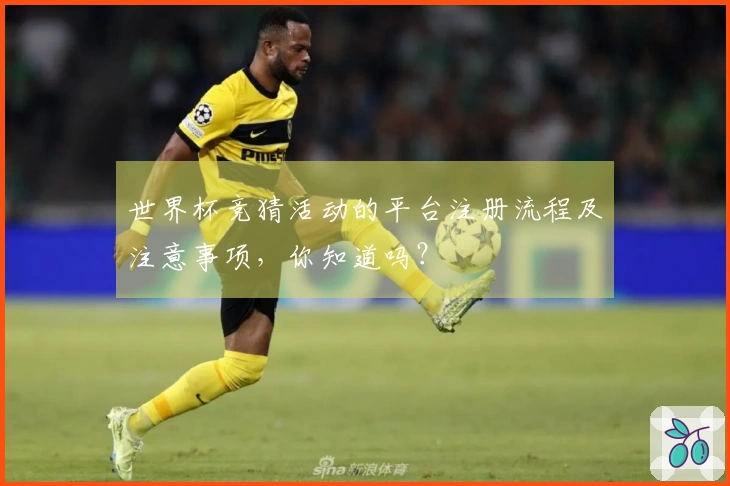 世界杯竞猜活动的平台注册流程及注意事项，你知道吗？